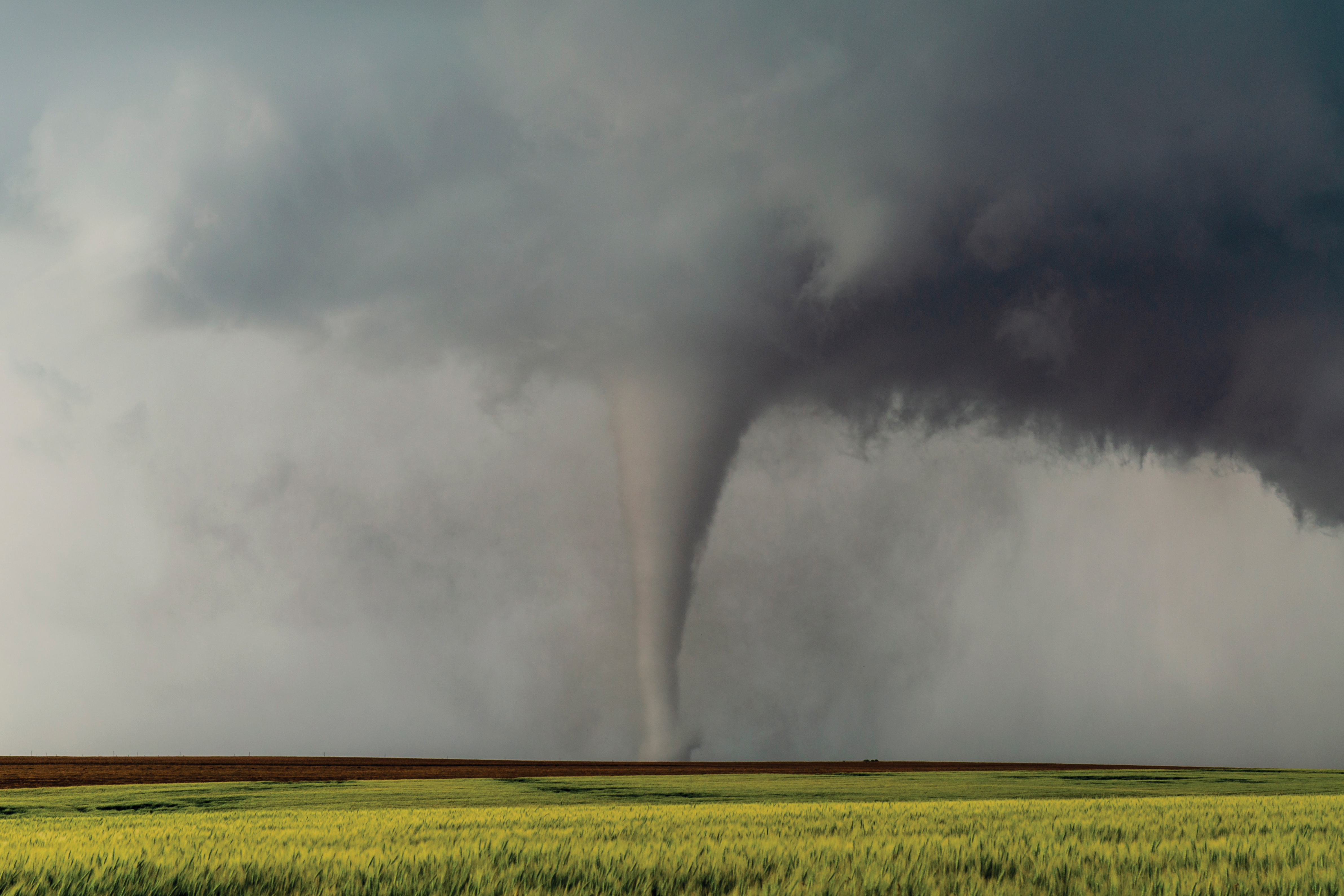 an image of a tornado touching down in a field
